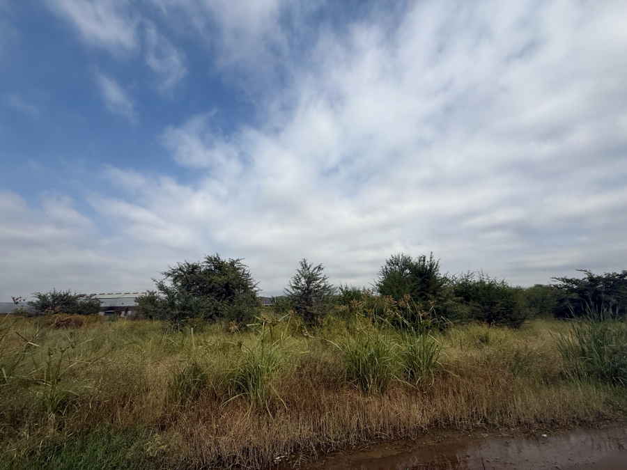 To Let commercial Property for Rent in Zinniaville North West